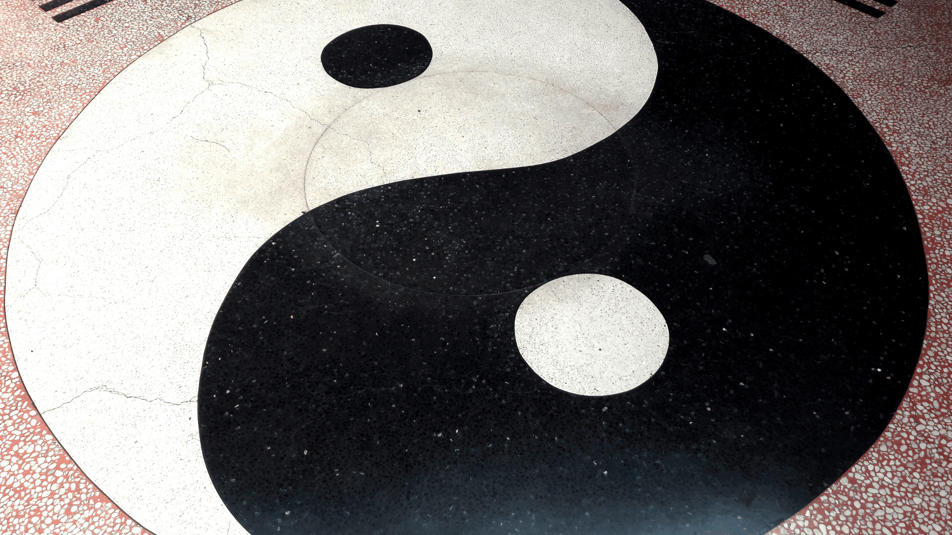 Yin Yang Tai Chi automne 2024